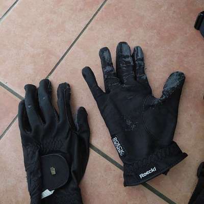Handschuhe fürs Gassigehen-Beitrag-Bild
