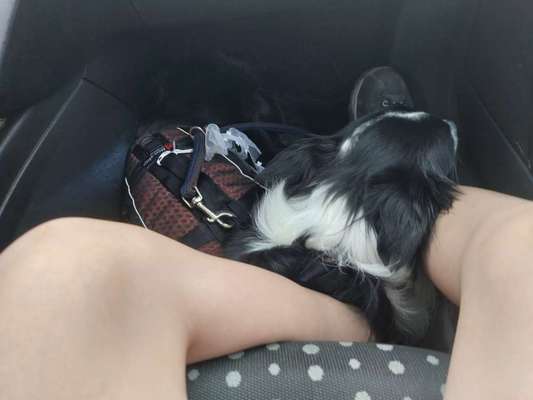 Kurzgeschichten-Challenge Nr. 18-Beitrag-Bild