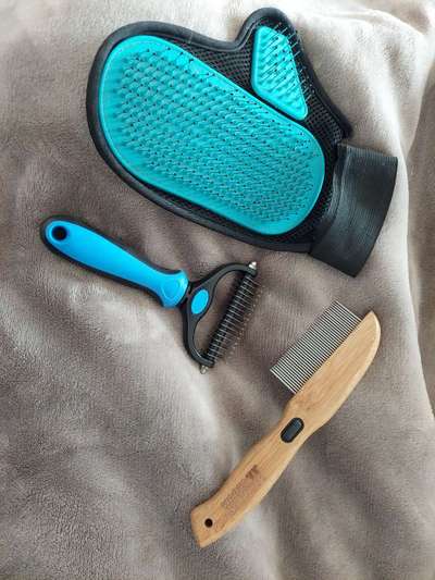 Tipps Hundebürste-Beitrag-Bild