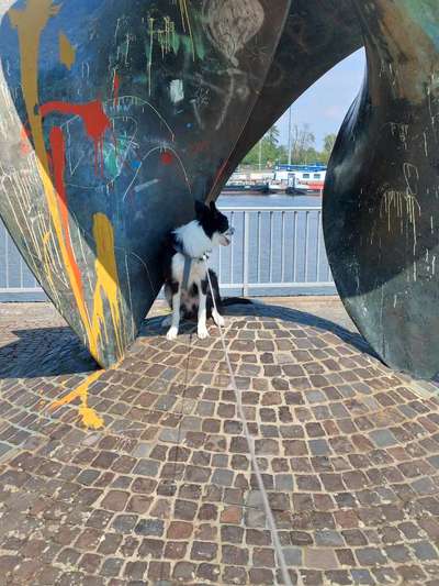 82. Foto Challenge: Skulptur/ Denkmal-Beitrag-Bild