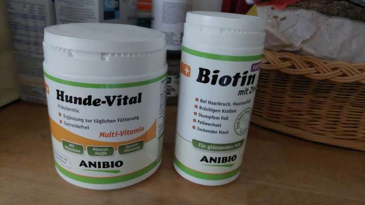 Weiches Kaugerät-Beitrag-Bild