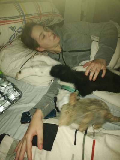 Wie seid ihr zu eurem Welpen gekommen?-Beitrag-Bild