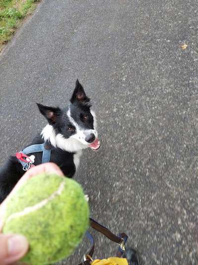 138. Fotochallenge 

(M)Ein Ball und ich-Beitrag-Bild