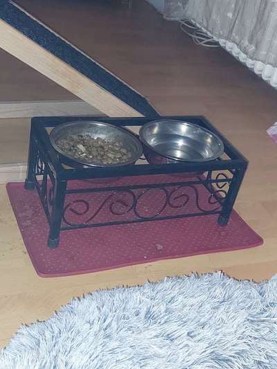 Kreative Napfhalterung-Beitrag-Bild