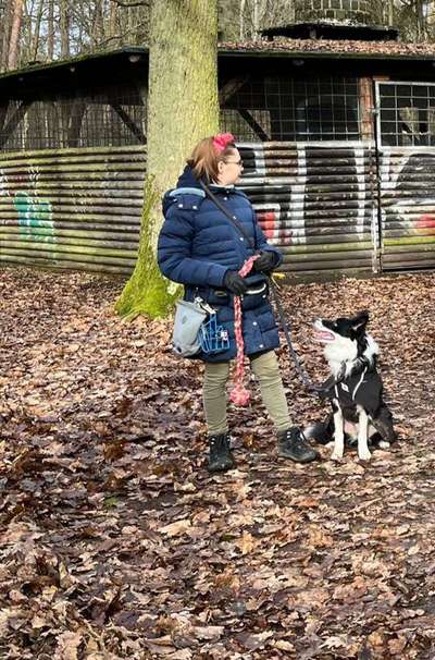 Heikles Thema: Kot überall aufsammeln oder nicht?-Beitrag-Bild