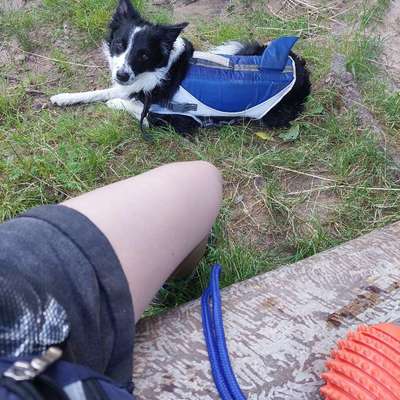 Schwimmweste als Absicherung am Angelteich für 30kg Hund gesucht-Beitrag-Bild