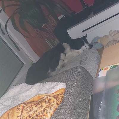 Wie habt ihr den Silvesterabend verbracht?-Beitrag-Bild