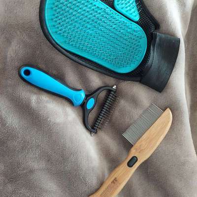 Bürstenempfehlung-Beitrag-Bild