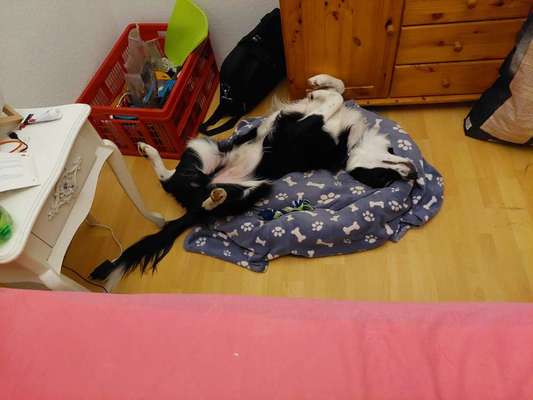 Foto Challenge - Zeigt her eure Bäuche-Beitrag-Bild