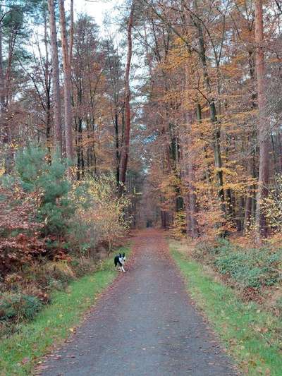 26. Farben Fotochallenge "Herbstfarben"-Beitrag-Bild