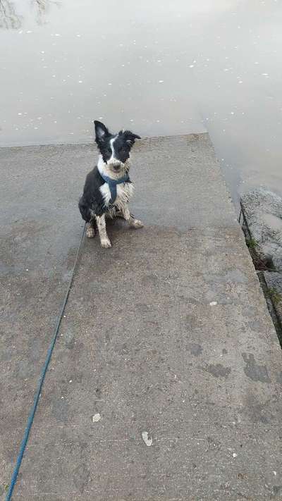 Ach, wie schnell die Zeit vergeht-Beitrag-Bild