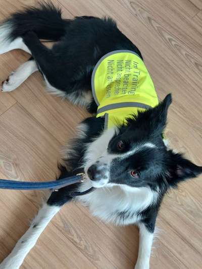 21. Farben / Foto Challenge - Neon / Leuchtfarben-Beitrag-Bild