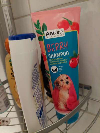 Shampoo für Welpe-Beitrag-Bild