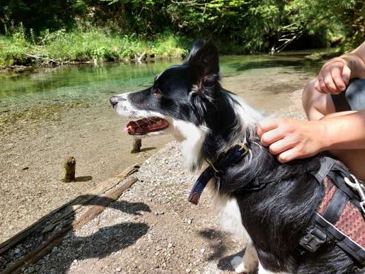 Kurzgeschichten-Challenge Nr. 18-Beitrag-Bild