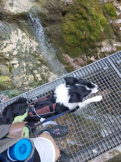 Foto Challenge Thema "Brücke"-Beitrag-Bild