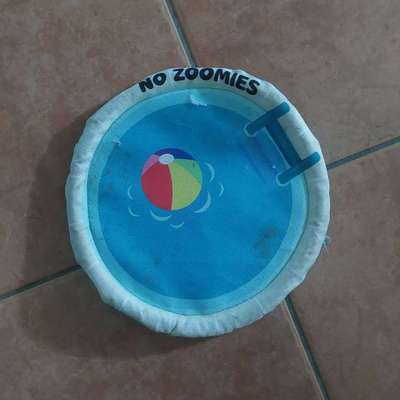 Wasserspielzeug zum Apportieren gesucht-Beitrag-Bild