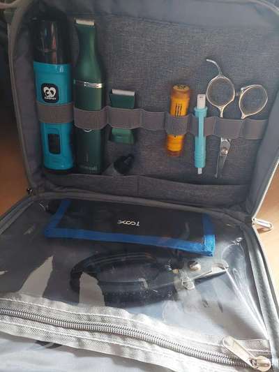 Krallenschleifer für Zwergpudel Empfehlungen?-Beitrag-Bild