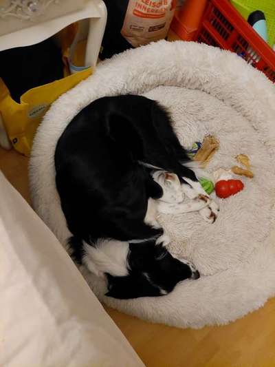 Liegeplatz-Beitrag-Bild