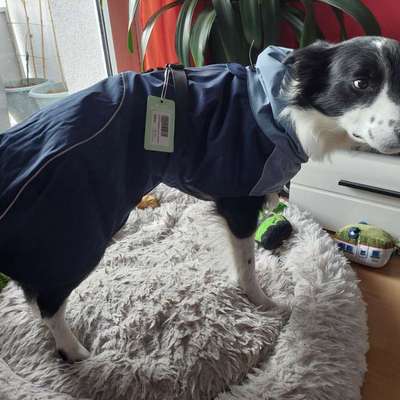 Welche Mäntel empfehlt ihr?-Beitrag-Bild