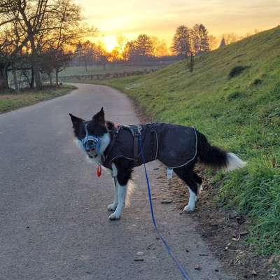 Welche Mäntel empfehlt ihr?-Beitrag-Bild