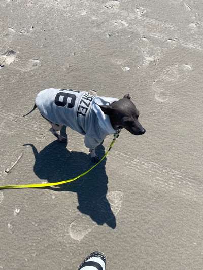 Fotochallenge Nr 50 Vom Winde verweht-Beitrag-Bild