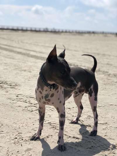 37. Collagen Challenge- Am Strand-Beitrag-Bild