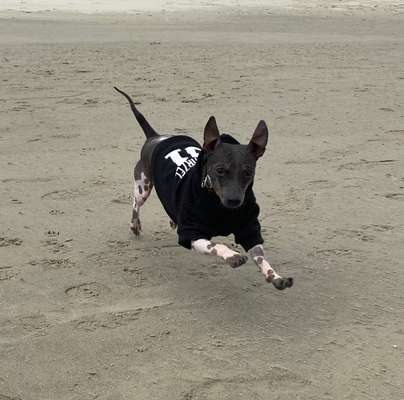 37. Collagen Challenge- Am Strand-Beitrag-Bild