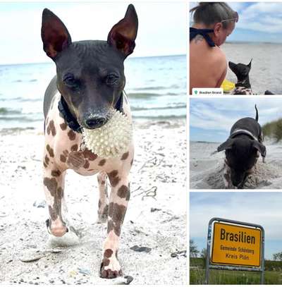 37. Collagen Challenge- Am Strand-Beitrag-Bild