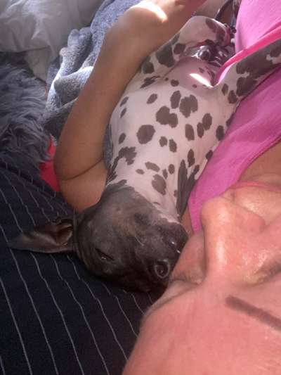 Gemeinsames Kuscheln im Bett!-Beitrag-Bild