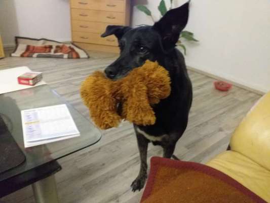 19. Handy - Foto - Challenge-Beitrag-Bild