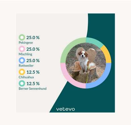 DNA-Tests-Beitrag-Bild