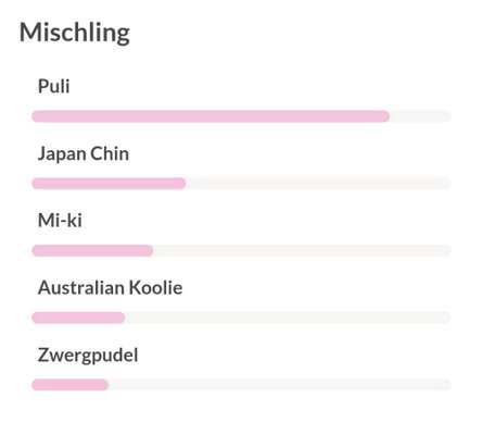 DNA Test-Beitrag-Bild