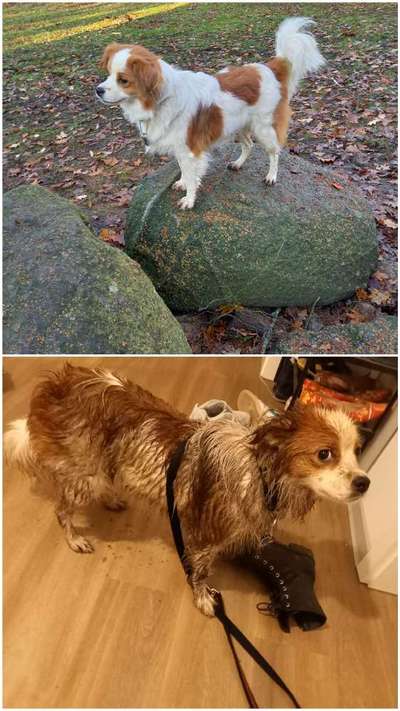 Zeigt mir doch mal eure Dreckspätze-Beitrag-Bild