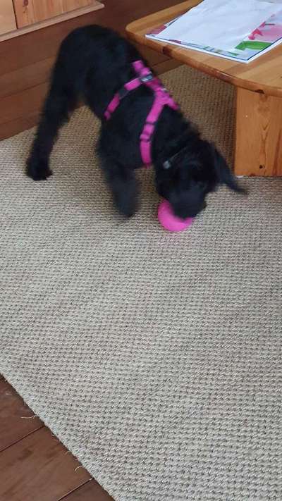 Spielen beibringen-Beitrag-Bild