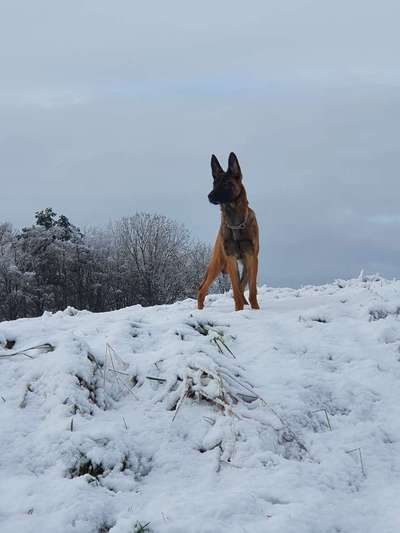 Lieblingsbild-Beitrag-Bild