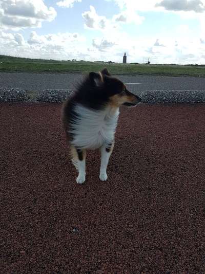 Fotochallenge Nr 50 Vom Winde verweht-Beitrag-Bild