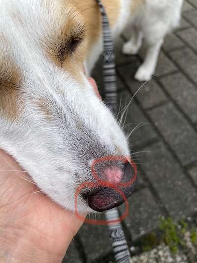 Sonnenbrand?-Beitrag-Bild