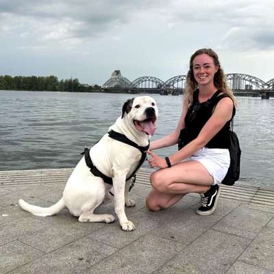 Hundetreffen-Biete Hundebetreuung