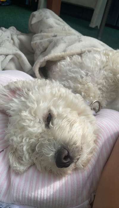 Handy-Foto Challange Nr. 10-Beitrag-Bild