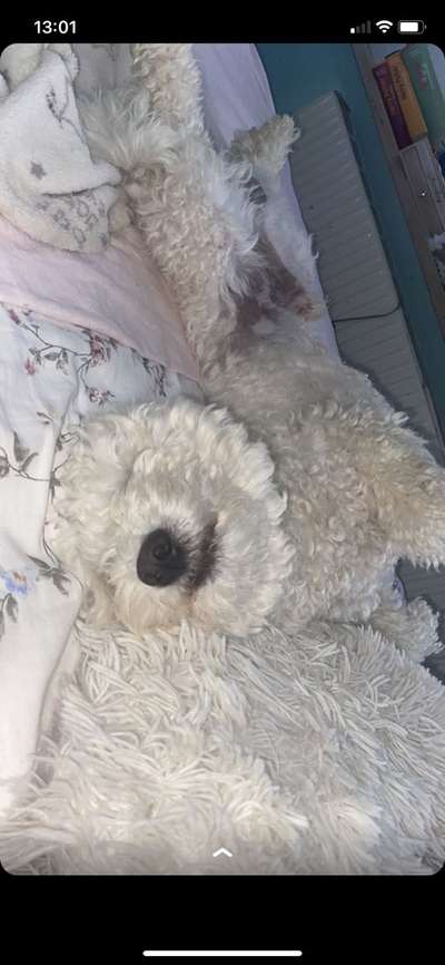 Die unbequemsten und lustigsten Schlafpositionen-Beitrag-Bild