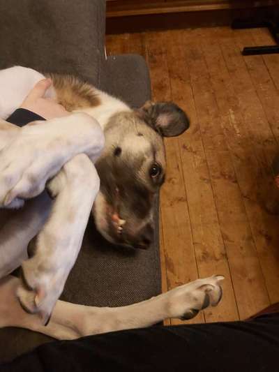 LUSTIGE FOTOS! WER KANN MITHALTEN?-Beitrag-Bild