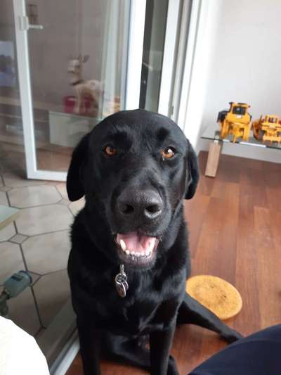 Fotochallange Nr. 57     PORTRÄT.   Beendet!!!!!!!!-Beitrag-Bild