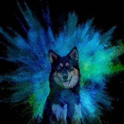 Photoshop und Co.-Beitrag-Bild