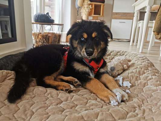 Sie werden so schnell erwachsen ...-Beitrag-Bild