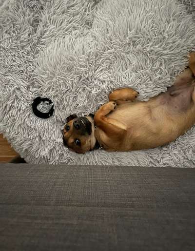 Fotochallenge Nr.122-Beitrag-Bild