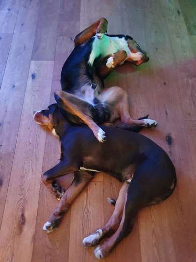 Die unbequemsten und lustigsten Schlafpositionen-Beitrag-Bild