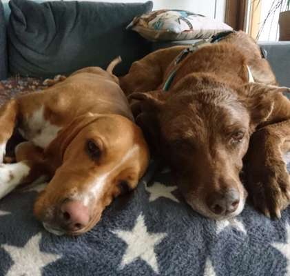 Fotochallenge Nr. 56 - geliebte Senioren-Beitrag-Bild