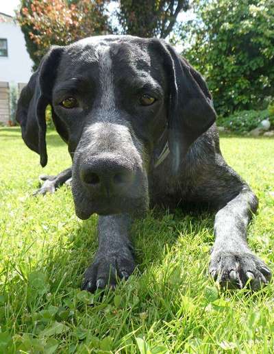 Fotochallange Nr. 57     PORTRÄT.   Beendet!!!!!!!!-Beitrag-Bild