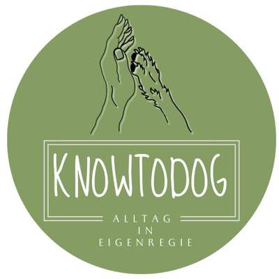 Hundeschulen-knowtodog-Bild