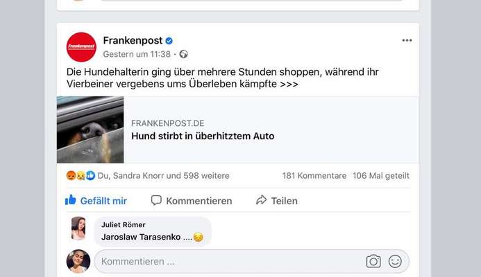 Hund im Auto-Beitrag-Bild